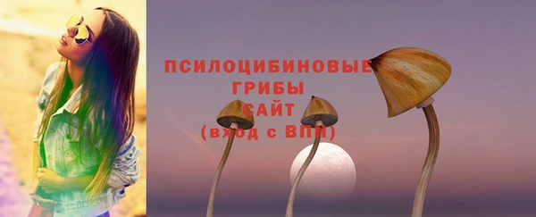 МДПВ Арсеньев