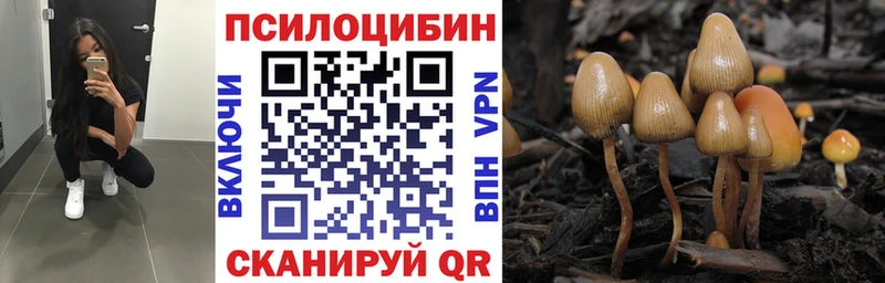 Галлюциногенные грибы Magic Shrooms  купить наркоту  кракен ССЫЛКА  это телеграм  Урус-Мартан 